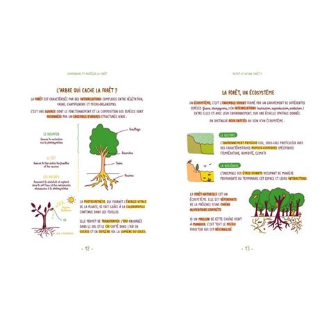 Comprendre et protéger la Forêt