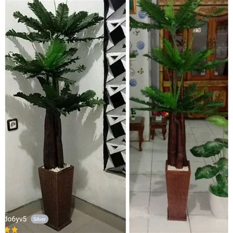 Jual Hiasan Sudut Ruangan Dengan Pot Jumbo Palm Pohon Kelapa Shopee