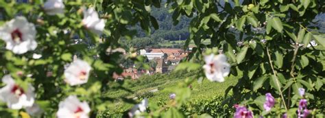 L Ours de Mutzig Hôtel Restaurant en Alsace Plan Accès