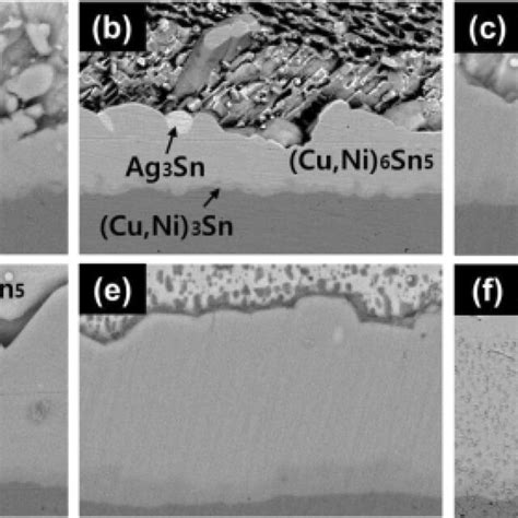 Cross Sectional And Top View Sem Micrographs Of The Interfacial Imcs