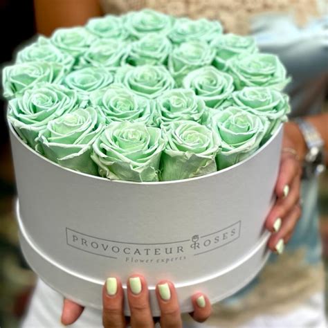 Rosas preservadas en caja acrílica Provocateur Roses