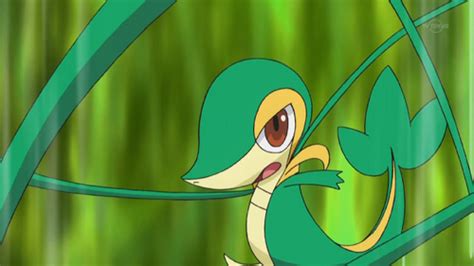 Vine Whip - Pokémon Wiki - Wikia