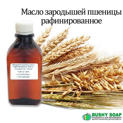 Масло зародышей пшеницы для волос: рецепты масок и отзывы