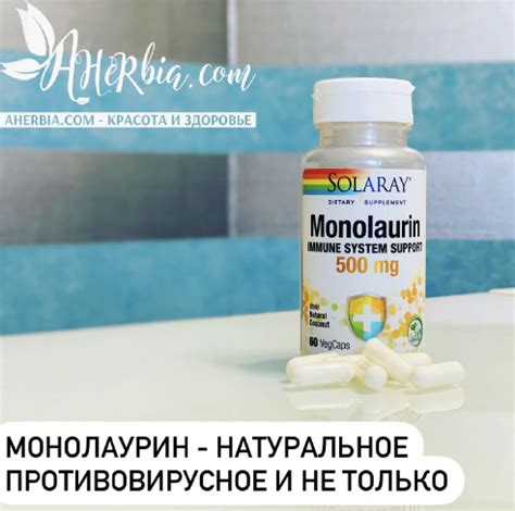 Монолаурин - природное противовирусное - Ахёрбия
