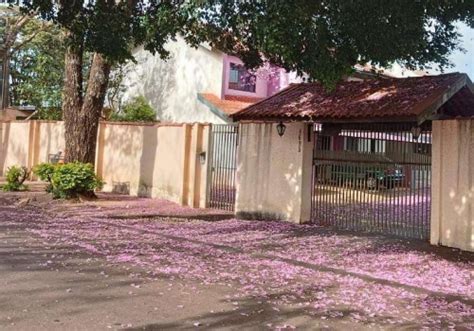 Casas Quartos Venda Na Avenida Afonso Botelho Em Campo Mour O