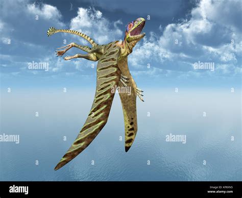 Pterosaurs Hi Res Stock Photography And Images Alamy