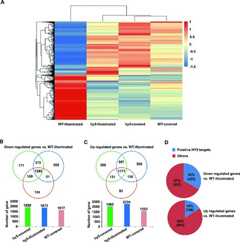 Analysis Of The Differentially Expressed Genes Degs Identified In