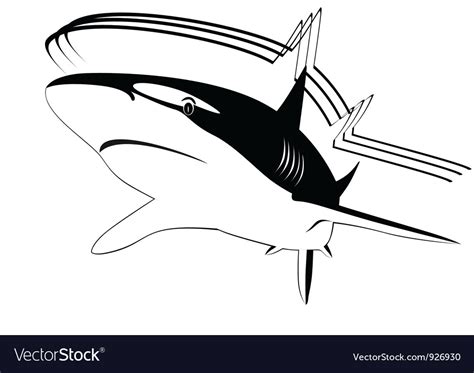 Shark Royalty Free Vector Image - VectorStock