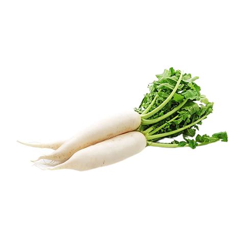 Radish Png Transparent Background 29719980 Png