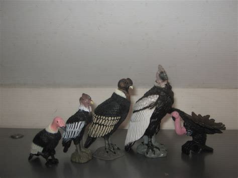 All My Andean Condors