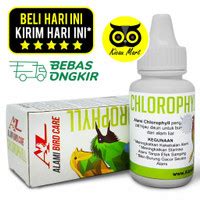 Jual Obat Chlorophyll Murah Harga Terbaru Juni