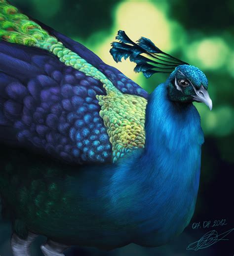 Peacock By Shiningsilverskies On Deviantart