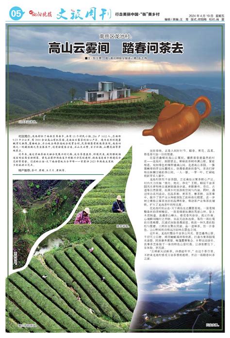 衡阳市人民政府门户网站 文旅周刊丨南岳区龙池村：高山云雾间 踏春问茶去