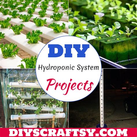 22 DIY Hydroponic System Projects - DIYsCraftsy