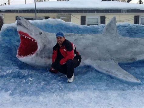 Ice Shark Shark Great White Shark Snow