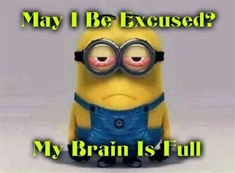 May I Be Excused My Brain Is Full Minions Humor Minions Funny