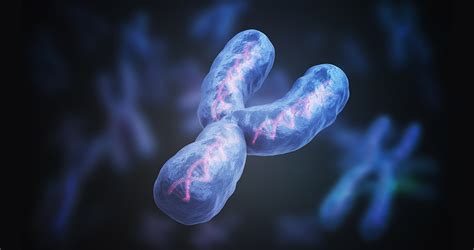 Y Chromosome Loss Makes Men Sicker Sex Chromosome Mutated In Old Age