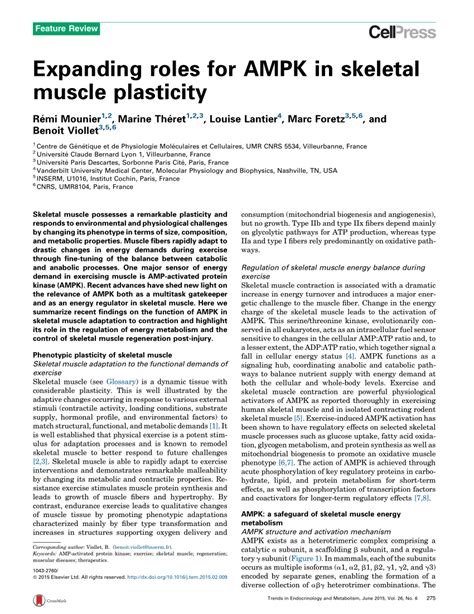 Pdf Expanding Roles For Ampk In Skeletal Muscle Plasticity