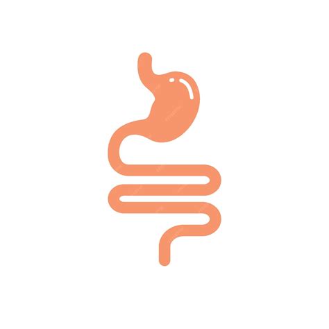 Premium Vector Stomach Icon Vector Illustration Design Template