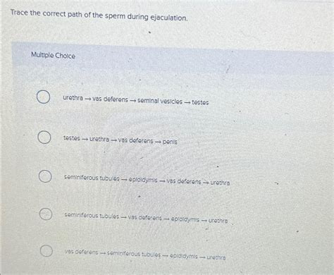 Solved Trace The Correct Path Of The Sperm During Chegg