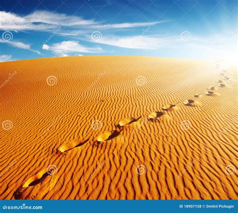 Footprints On Sand Dune Stock Photo Image Of Blue Orange 18907158