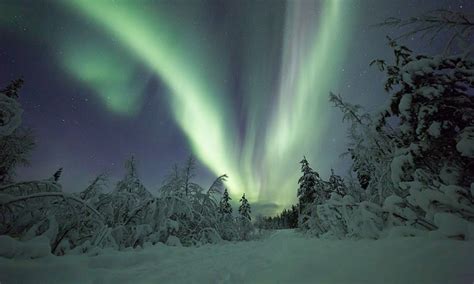 Lapland & Northern Lights | Tour Package | Qantas Tours