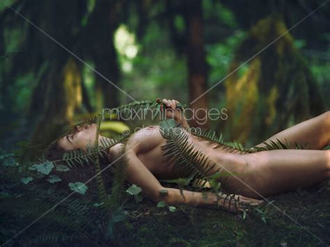 Photo Of Beautiful Nude Woman Lying On Green Moss In A Rain Forest Covering Her Naked Body With