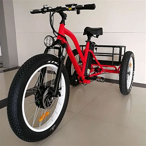 2019 500w 750w 3 Wheel Fat Tire Electric Cargo Bike Tricycle With Cheap