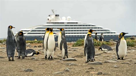 Scenic Unveils New 2023/2024 Antarctica Program With New Fly-Cruise ...