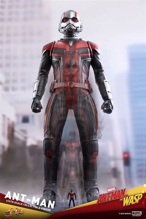 Action Figure Homem-Formiga (Ant-Man): Homem-Formiga e a Vespa (Ant-Man ...