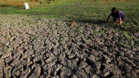 Suelos No Aptos Para La Agricultura Colombia Verde