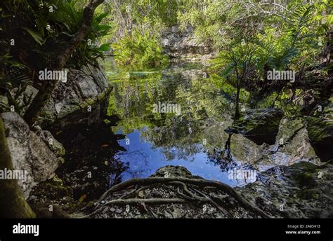 Cenote Azul in Mexico #6 Stock Photo - Alamy