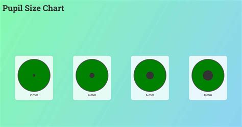 Pupil Size Chart Printable 