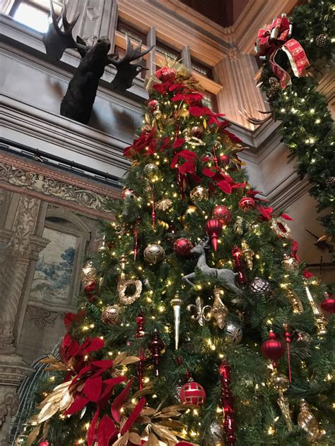 In photos: Biltmore Estate raises Christmas tree | Mountain Xpress