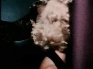 Classic Sweet Taste Of Honey Babe Porn XHamster