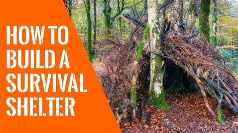 How To Build A Survival Shelter Youtube