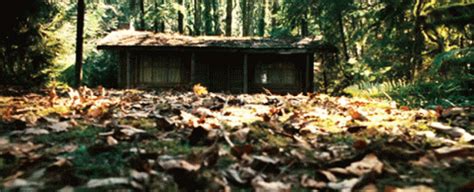 Cabin In The Woods GIF - Cabin In The Woods - Discover & Share GIFs