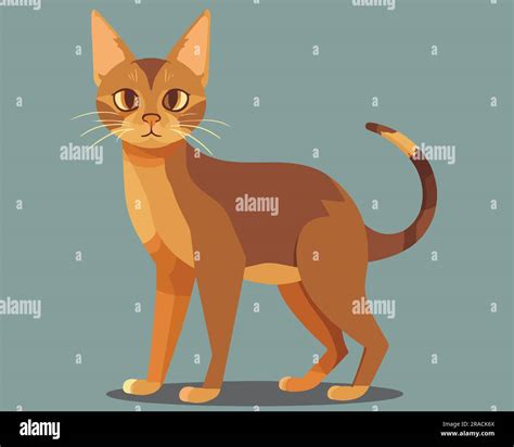 Flat Cute Siberian Cat Vector Illustration Stock Vector Image And Art Alamy