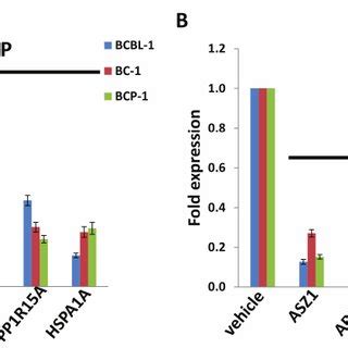 Validation Of Microarray Results By QRT PCR For Selected Candidate