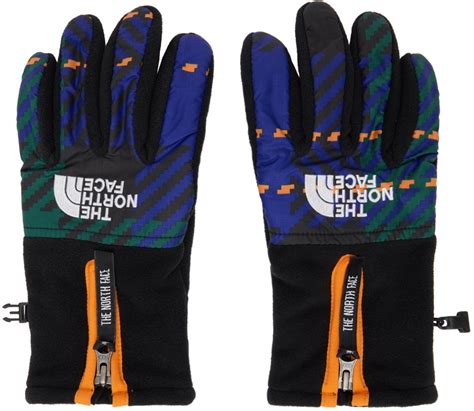 The North Face The North Face Blue Green Denali Gloves Editorialist