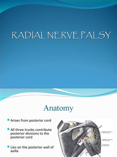 Radial Nerve Palsy | PDF