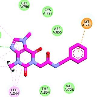 D And D Binding Mode Of Erlotinib Into The Active Site Of Egfr Wt