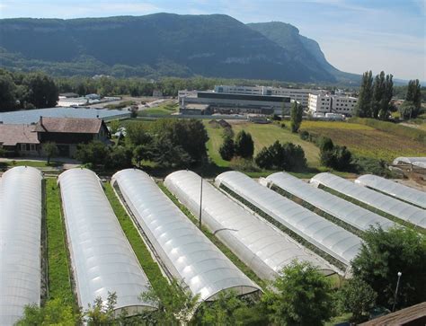 urbanisme Hôpital privé mosquée et parc naturel trois projets qui