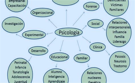 Principales áreas De La Psicología Conozca Cuáles Son Y Cómo Se