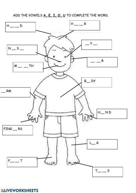 My Body Activity For Grade 1 Human Body Worksheets Body Parts For