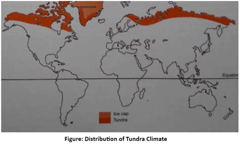 Arctic Tundra Climate: Extreme Cold, Limited Vegetation, And Human ...