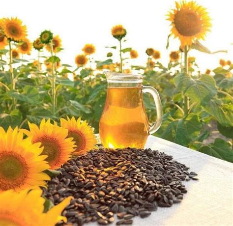 Sunflower Oil Cooking Oils Refined And Crude Sunflower Oils And All ...