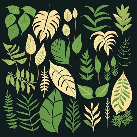 Premium Vector Rainforest Leaf Flat Design Set