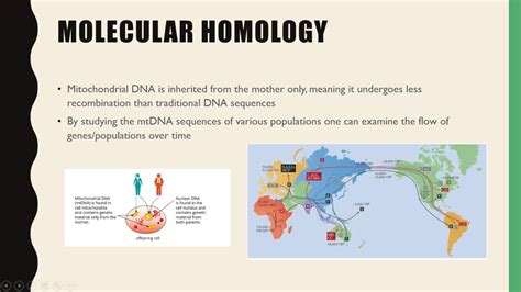 Unit 4 Biology Molecular evidence for evolution - YouTube