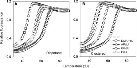 Representative Fluorescence Melting Curves Showing The Interaction Of